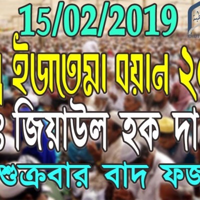মাওলানা জিয়াউল হক