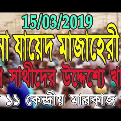 মাওলানা যায়দ মাযাহেরি