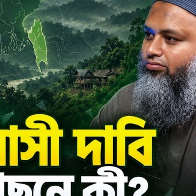 মেহেদী হাসান পলাশ