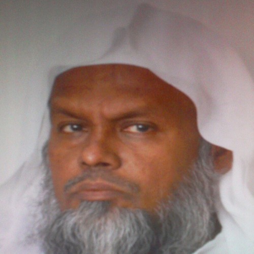 আল্লামা মিজানুর রহমান সাইদ