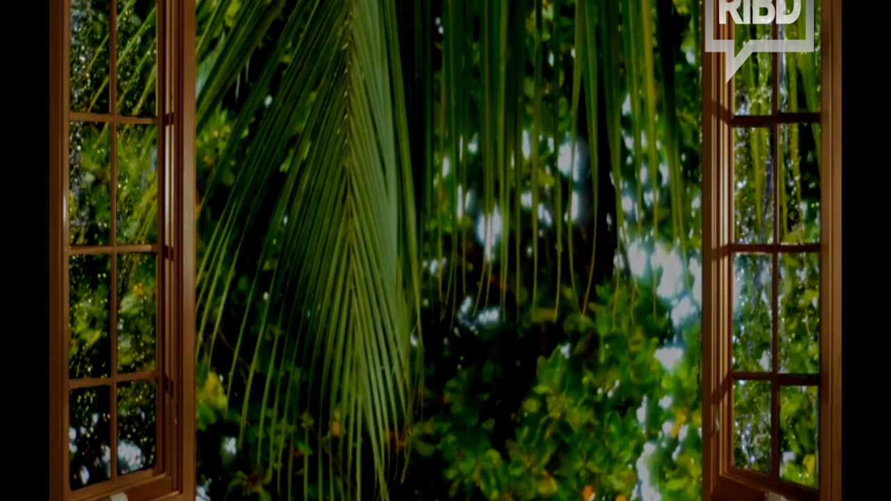 প্রকৃত আনন্দ কিসে?