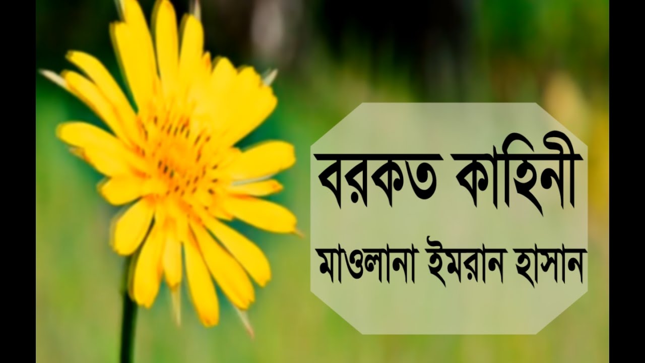 বরকত কাহিনী by মাওলানা ইমরান হাসান